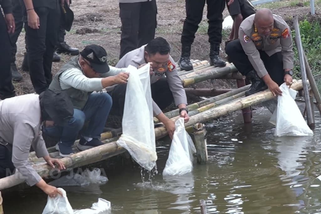 Polda Metro Jaya Tebar 37.000 Benih Ikan di Muara Gembong, Perkuat Pasokan Pangan SPPG Polda Metro Jaya Tebar 37.000 Benih Ikan di Muara Gembong, Perkuat Pasokan Pangan SPPG