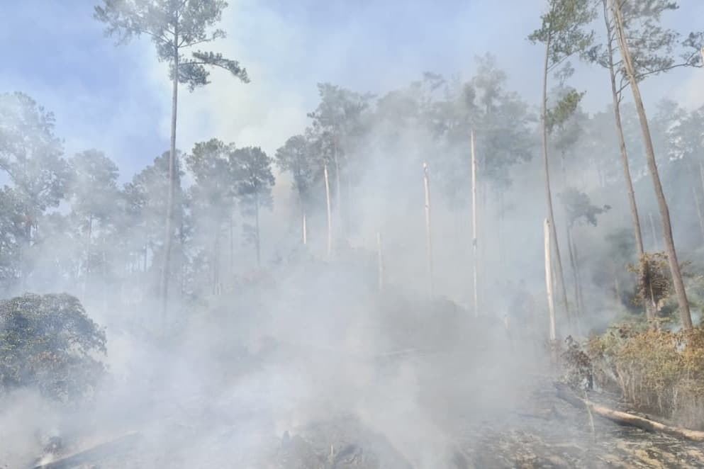 BNPB Ingatkan Ancaman Karhutla Besar Berpotensi Terjadi pada 2027 BNPB Ingatkan Ancaman Karhutla Besar Berpotensi Terjadi pada 2027
