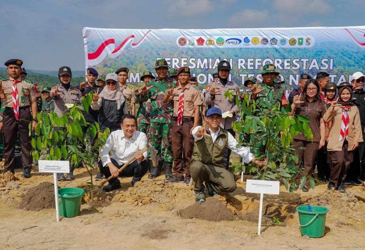 Pemerintah Reforestasi Taman Nasional Tesso Nilo Tahun Ini, Targetkan 2.557 Hekatare Pemerintah Reforestasi Taman Nasional Tesso Nilo Tahun Ini, Targetkan 2.557 Hekatare