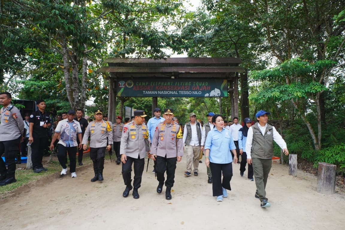 Kapolri dan Titiek Tinjau Tesso Nilo, Instruksikan Tindak Tegas Perusak Habitat Gajah! Kapolri dan Titiek Tinjau Tesso Nilo, Instruksikan Tindak Tegas Perusak Habitat Gajah!