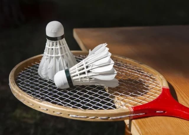 Langka dan Mahal, BWF Mulai Uji Coba Shuttlecock Bulu Tangkis Sintetis di Turnamen Internasional Langka dan Mahal, BWF Mulai Uji Coba Shuttlecock Bulu Tangkis Sintetis di Turnamen Internasional