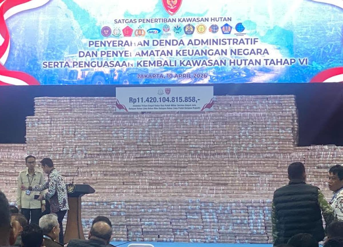 Penampakan Gunungan Uang Rp11,4 Triliun Hasil Denda dan Penguasaan Kembali Kawasan Hutan Penampakan Gunungan Uang Rp11,4 Triliun Hasil Denda dan Penguasaan Kembali Kawasan Hutan