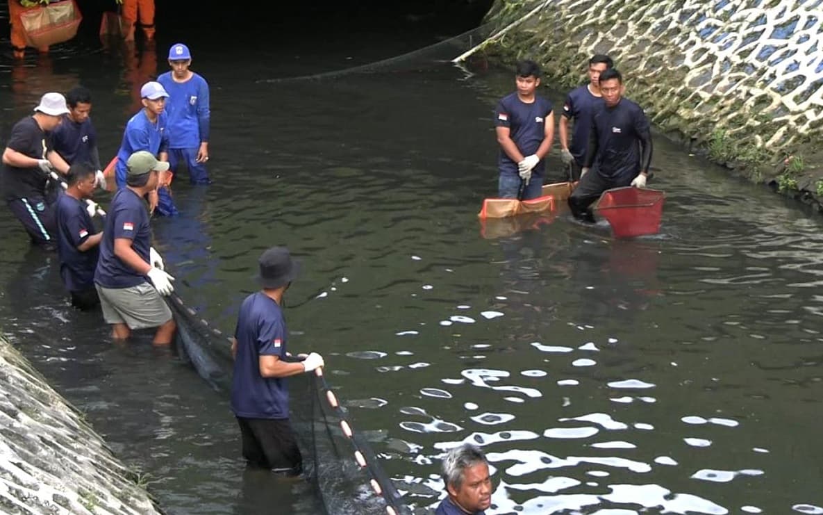 Pasukan Oranye Tangkapi Ikan Sapu-Sapu di Kali Ciliwung, Warga Diimbau Jangan Dikonsumsi Pasukan Oranye Tangkapi Ikan Sapu-Sapu di Kali Ciliwung, Warga Diimbau Jangan Dikonsumsi