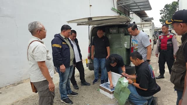 Bareskrim Geledah 5 Gudang di Jakarta, Sita Ribuan HP Impor Ilegal Bareskrim Geledah 5 Gudang di Jakarta, Sita Ribuan HP Impor Ilegal