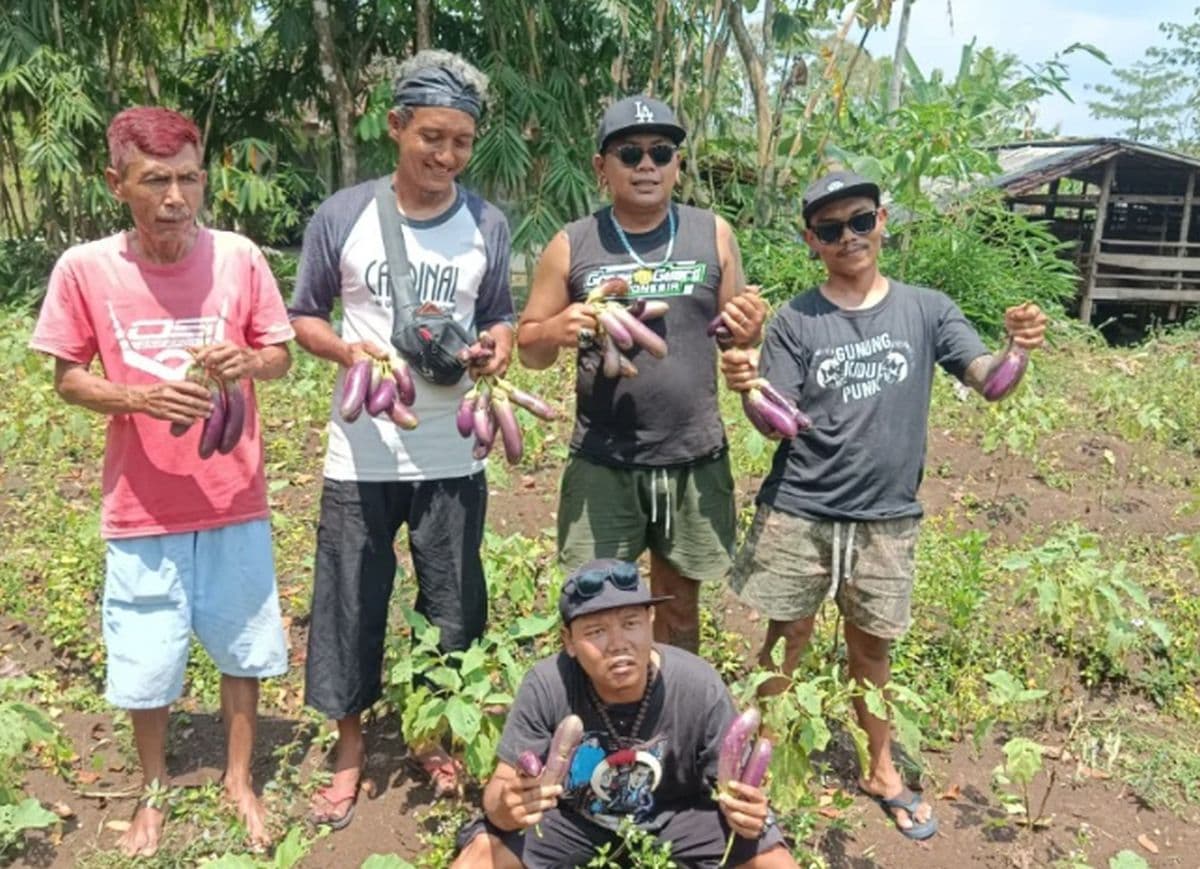 Kisah Petani Punk Gunungkidul: Dari Jalanan hingga Jadi Pemasok Dapur MBG Kisah Petani Punk Gunungkidul: Dari Jalanan hingga Jadi Pemasok Dapur MBG