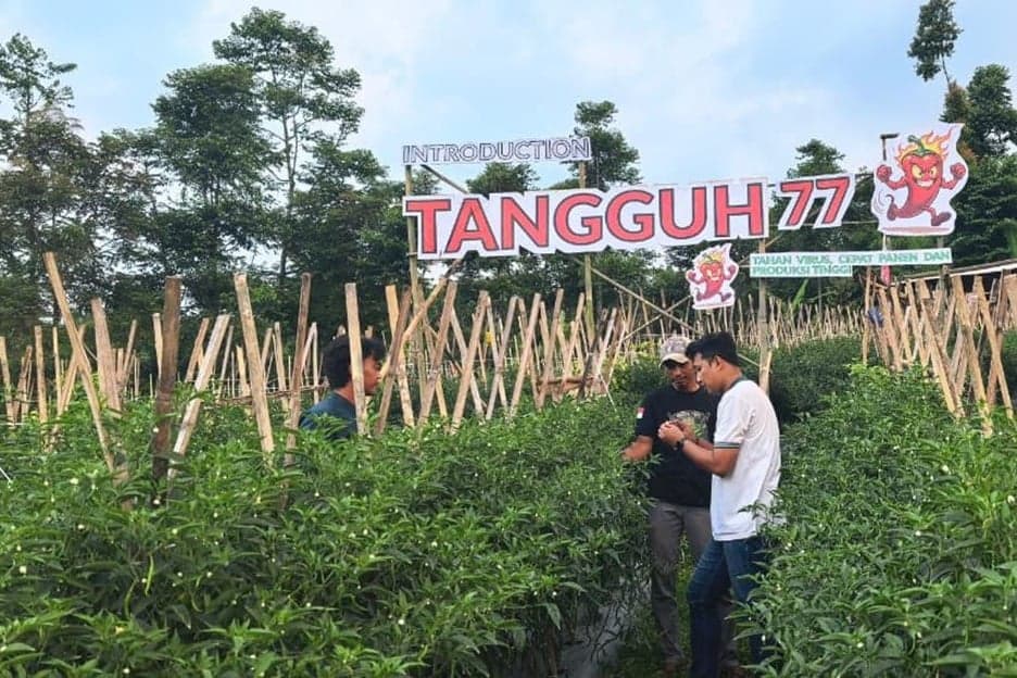 Hadapi Musim Kemarau, Petani Jabar Ikuti Edukasi Pentingnya Perubahan Pola Budidaya Hadapi Musim Kemarau, Petani Jabar Ikuti Edukasi Pentingnya Perubahan Pola Budidaya