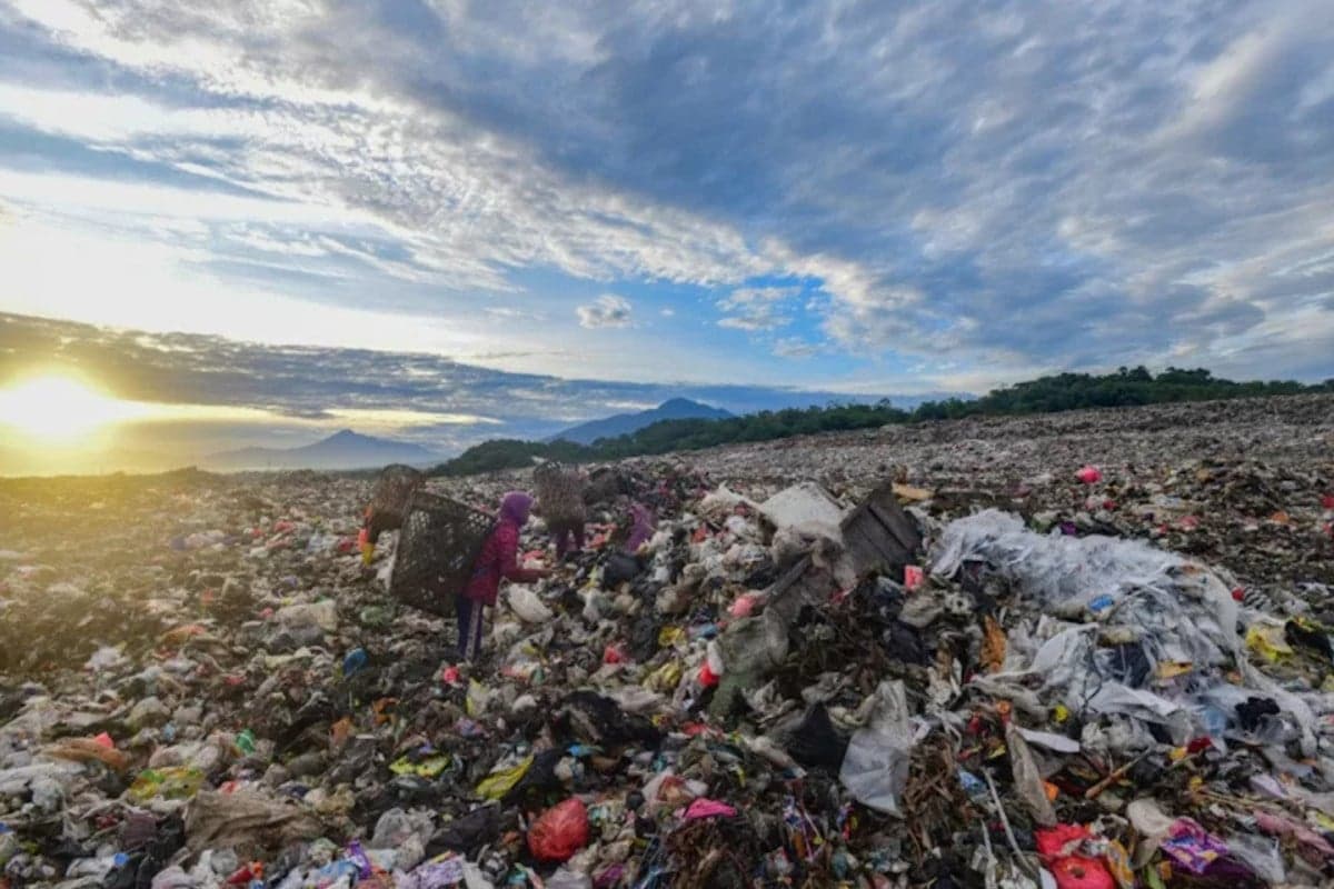 Mendiktisaintek Ungkap Teknologi Pengolahan Sampah dari Kampus Diuji Coba Tahun Ini Mendiktisaintek Ungkap Teknologi Pengolahan Sampah dari Kampus Diuji Coba Tahun Ini