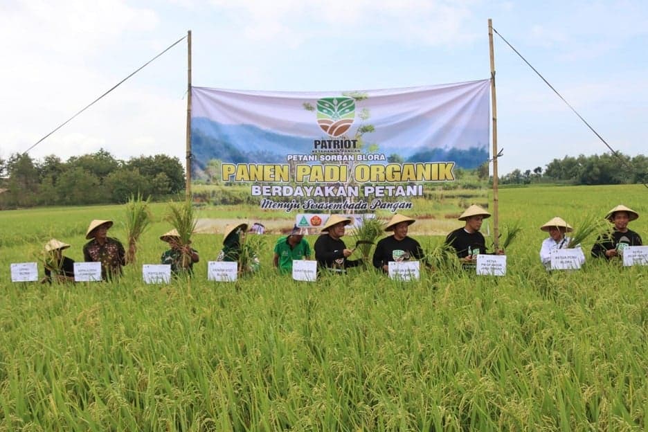 Panen Padi dan Tanam Pohon Kelapa di Blora, GP Ansor: Wujudkan Ketahanan Pangan Panen Padi dan Tanam Pohon Kelapa di Blora, GP Ansor: Wujudkan Ketahanan Pangan