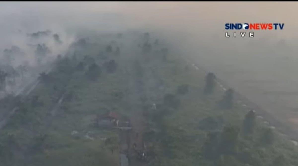 Cuaca Indonesia Tahun 2026 Lebih Kering, Potensi Karhutla Tinggi Cuaca Indonesia Tahun 2026 Lebih Kering, Potensi Karhutla Tinggi