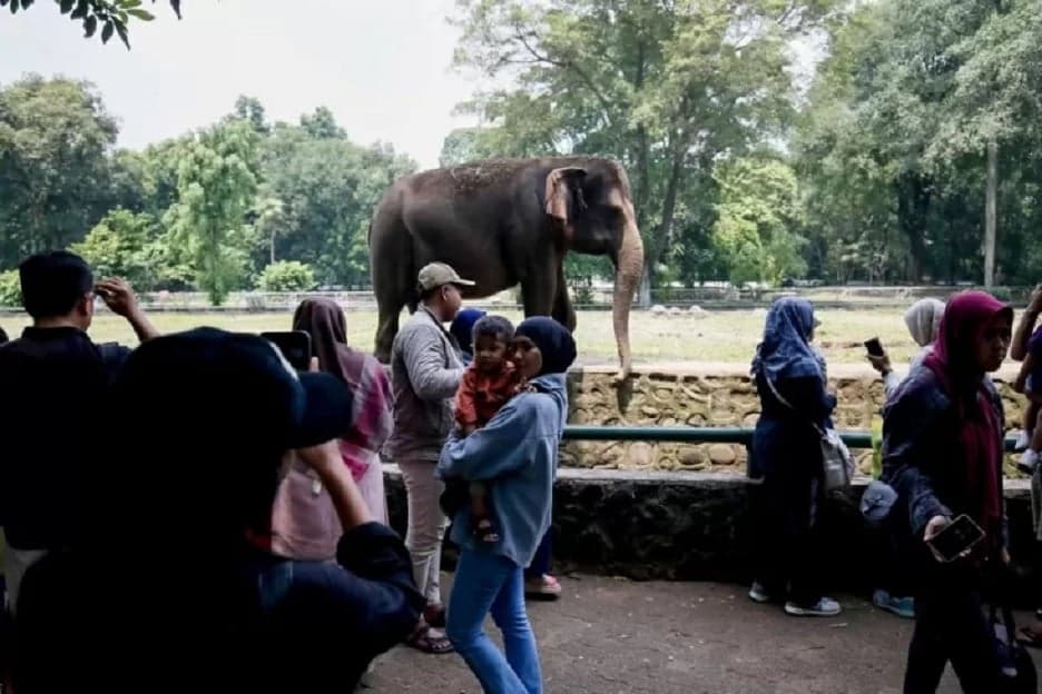 72.311 Pengunjung Padati Taman Margasatwa Ragunan pada Lebaran Kedua 72.311 Pengunjung Padati Taman Margasatwa Ragunan pada Lebaran Kedua