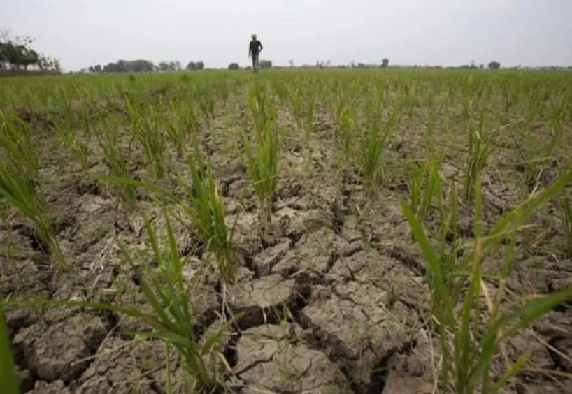 Ada Ancaman Godzilla El Nino, Akankah Produksi Beras 2026 Aman? Ada Ancaman Godzilla El Nino, Akankah Produksi Beras 2026 Aman?