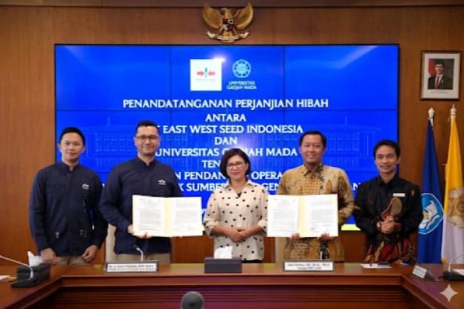 Jaga Ketahanan Pangan, UGM-Ewindo Kembangkan Bank Sayuran Jaga Ketahanan Pangan, UGM-Ewindo Kembangkan Bank Sayuran