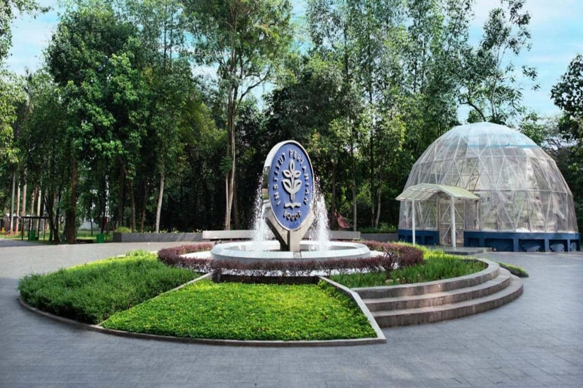 UTBK SNBT 2026: IPB University Tawarkan 61 Prodi S1 dan D4 untuk Calon Mahasiswa UTBK SNBT 2026: IPB University Tawarkan 61 Prodi S1 dan D4 untuk Calon Mahasiswa