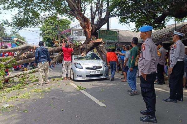 Pohon Tumbang Timpa Mobil di Rempoa Tangsel, 2 Orang Luka-Luka Pohon Tumbang Timpa Mobil di Rempoa Tangsel, 2 Orang Luka-Luka