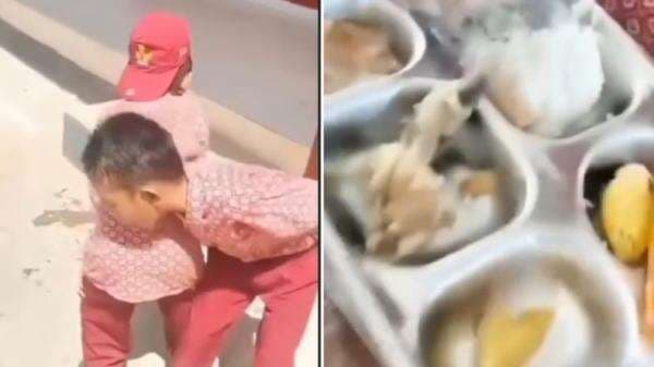 Murid SD di Bombana Muntah Setelah Makan Menu MBG, BGN Minta Maaf dan Janji Evaluasi Murid SD di Bombana Muntah Setelah Makan Menu MBG, BGN Minta Maaf dan Janji Evaluasi