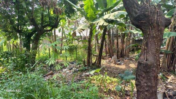 Kejagung Lelang 4 Lahan Pembobol Bank BUMD Andi Winarto, Laku Rp5,4 Miliar Kejagung Lelang 4 Lahan Pembobol Bank BUMD Andi Winarto, Laku Rp5,4 Miliar