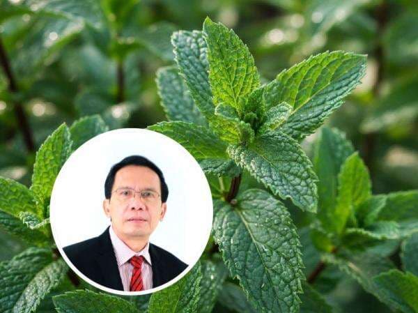 Bahan Alami Neumentix Bisa Sehatkan Otak dan Mental, Ini Penjelasannya Bahan Alami Neumentix Bisa Sehatkan Otak dan Mental, Ini Penjelasannya