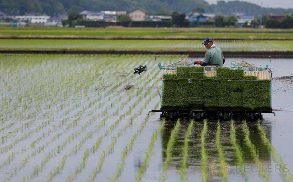 Nilai Tukar Petani pada November 2025 Turun 0,23 Persen Nilai Tukar Petani pada November 2025 Turun 0,23 Persen