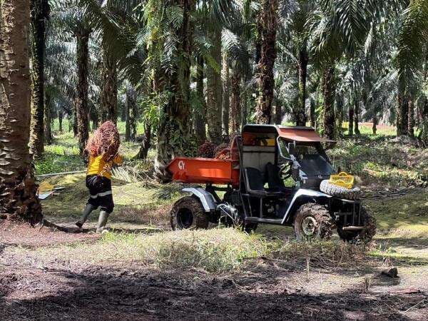 Astra Agro Lestari (AALI) Bayar Denda Administratif Rp571 Miliar ke Satgas PKH Astra Agro Lestari (AALI) Bayar Denda Administratif Rp571 Miliar ke Satgas PKH