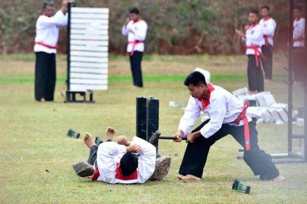 Atraksi Merpati Putih hingga Drone Kamikaze Ditampilkan di Hadapan Prabowo dan Raja Yordania Atraksi Merpati Putih hingga Drone Kamikaze Ditampilkan di Hadapan Prabowo dan Raja Yordania