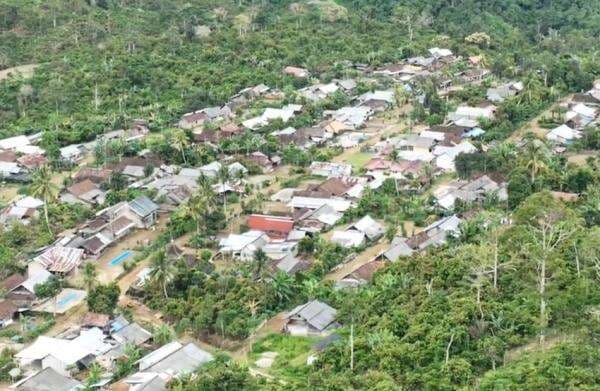 7.000 Hektare Lahan TNBBS Dijadikan Perkebunan, 4.517 Orang Huni Kawasan Konservasi Hutan 7.000 Hektare Lahan TNBBS Dijadikan Perkebunan, 4.517 Orang Huni Kawasan Konservasi Hutan