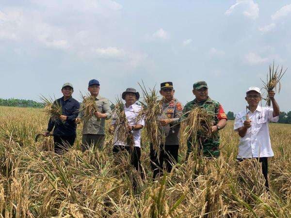 Kunjungan UKP Mardiono ke Karawang, Ajak Petani Terapkan Sistem Pertanian Ramah Lingkungan Kunjungan UKP Mardiono ke Karawang, Ajak Petani Terapkan Sistem Pertanian Ramah Lingkungan