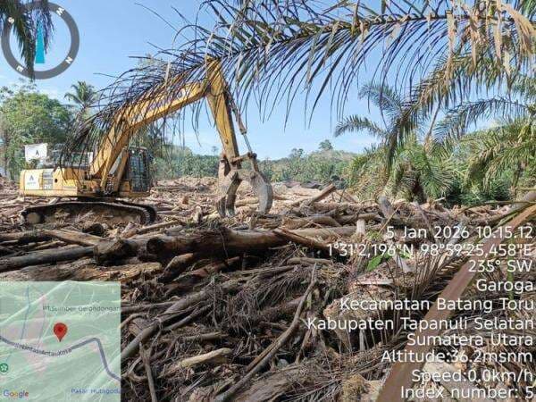 Kemenhut Intensifkan Penanganan Kayu Hanyutan Pascabencana di Aceh, Sumbar, dan Sumut Kemenhut Intensifkan Penanganan Kayu Hanyutan Pascabencana di Aceh, Sumbar, dan Sumut