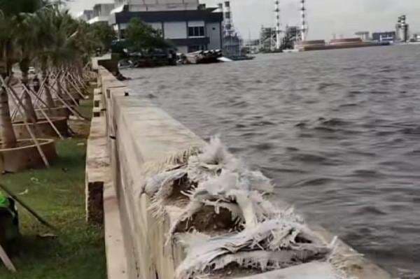 Viral Air Laut di Pesisir Jakarta Lebih Tinggi dari Daratan, Mengkhawatirkan! Viral Air Laut di Pesisir Jakarta Lebih Tinggi dari Daratan, Mengkhawatirkan!