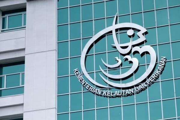 Incar Pasar Ekspor, KKP Gandeng Korsel Kembangkan Budidaya Ikan Napoleon Incar Pasar Ekspor, KKP Gandeng Korsel Kembangkan Budidaya Ikan Napoleon