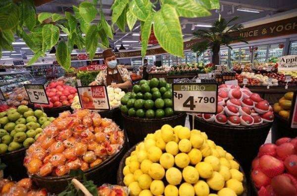 Segmen Impor Melonjak, Segar Kumala (BUAH) Cuan Rp1,7 Triliun di 2024 Segmen Impor Melonjak, Segar Kumala (BUAH) Cuan Rp1,7 Triliun di 2024
