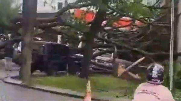 Hujan dan Angin Kencang Tumbangkan Pohon di Bandung Barat, 3 Mobil dan Warung Rusak Hujan dan Angin Kencang Tumbangkan Pohon di Bandung Barat, 3 Mobil dan Warung Rusak