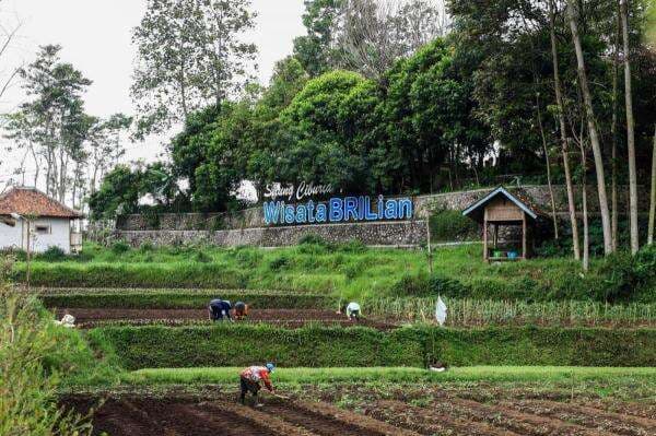 Berdayakan 5.000 Desa di Indonesia, BRI Konsisten Dorong Kemajuan Ekonomi Desa Berdayakan 5.000 Desa di Indonesia, BRI Konsisten Dorong Kemajuan Ekonomi Desa
