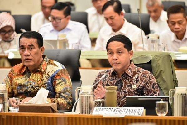 Menhut Moratorium Penebangan dan Pengangkutan Kayu Imbas Banjir dan Longsor Sumatra Menhut Moratorium Penebangan dan Pengangkutan Kayu Imbas Banjir dan Longsor Sumatra