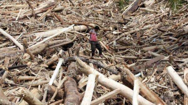 Buru Tersangka, Bareskrim Tingkatkan Kasus Kayu Gelondongan Banjir Sumatera ke Penyidikan Buru Tersangka, Bareskrim Tingkatkan Kasus Kayu Gelondongan Banjir Sumatera ke Penyidikan
