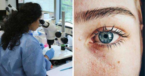 Ilmuwan Temukan Olo Warna Baru yang Belum Dilihat oleh Manusia Ilmuwan Temukan Olo Warna Baru yang Belum Dilihat oleh Manusia