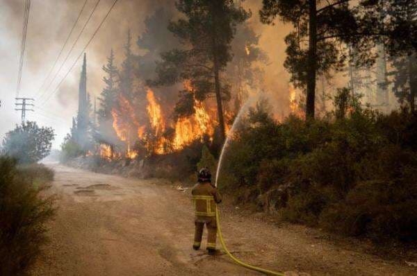 Israel Panik Dilanda Kebakaran Hutan Dahsyat, Ribuan Penduduk di Beberapa Kota Dievakuasi Israel Panik Dilanda Kebakaran Hutan Dahsyat, Ribuan Penduduk di Beberapa Kota Dievakuasi