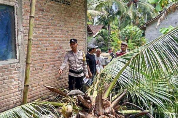 Tragis! Lansia 60 Tahun di Kulonprogo Tewas Tertimpa Pohon Tumbang Tragis! Lansia 60 Tahun di Kulonprogo Tewas Tertimpa Pohon Tumbang