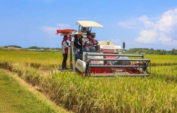 Tembus 1 Juta Ton, BULOG Optimalkan Penyerapan saat Panen Raya Tembus 1 Juta Ton, BULOG Optimalkan Penyerapan saat Panen Raya