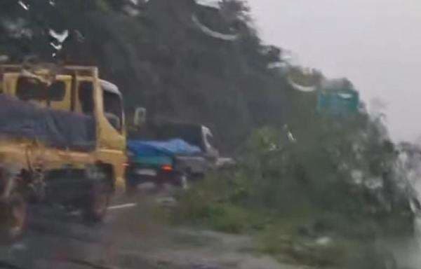Pohon Tumbang Terbawa Angin, Rekayasa Lalin Diterapkan di Tol Jagorawi Exit Karanggan Pohon Tumbang Terbawa Angin, Rekayasa Lalin Diterapkan di Tol Jagorawi Exit Karanggan