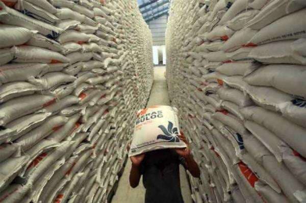 Potensial Turun Mutu, Pengamat: Beras Bulog Harus Segera Disalurkan Potensial Turun Mutu, Pengamat: Beras Bulog Harus Segera Disalurkan