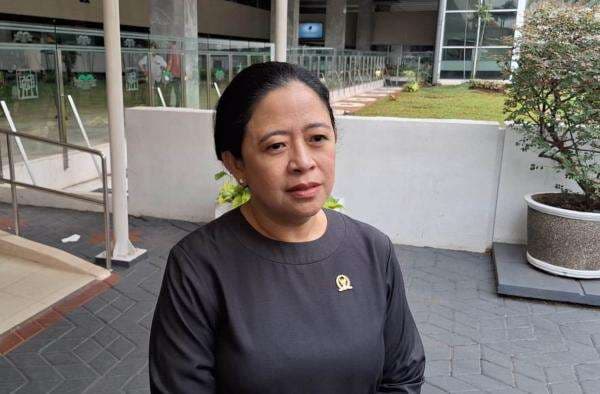 UU TNI yang Baru Disahkan DPR Digugat ke MK, Puan: Tolong Baca Dahulu Isinya UU TNI yang Baru Disahkan DPR Digugat ke MK, Puan: Tolong Baca Dahulu Isinya